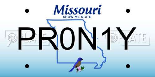 PR0N1Y Missouri License Plate