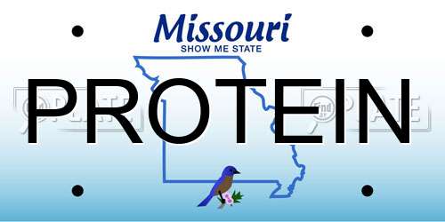 PROTEIN Missouri License Plate