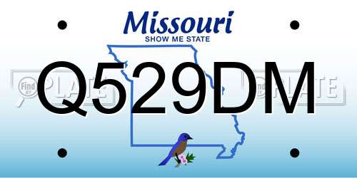 Q529DM Missouri License Plate