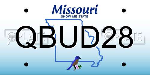 QBUD28 Missouri License Plate