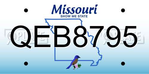 QEB8795 Missouri License Plate