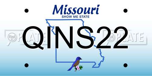QINS22 Missouri License Plate