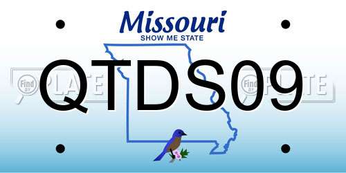 QTDS09 Missouri License Plate