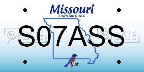 S07ASS Missouri License Plate