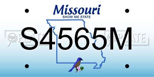 S4565M Missouri License Plate