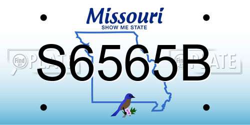 S6565B Missouri License Plate