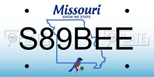 S89BEE Missouri License Plate