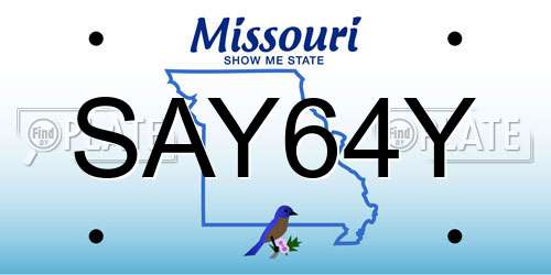 SAY64Y Missouri License Plate