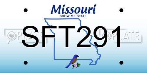 SFT291 Missouri License Plate