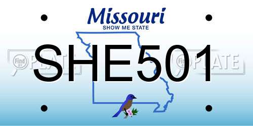 SHE501 Missouri License Plate