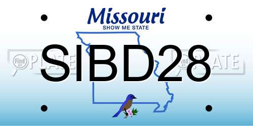 SIBD28 Missouri License Plate