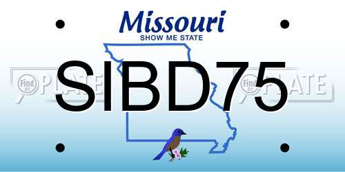 SIBD75 Missouri License Plate