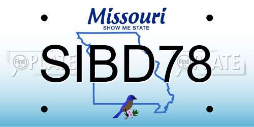 SIBD78 Missouri License Plate
