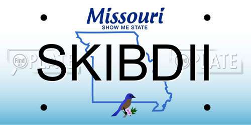 SKIBDII Missouri License Plate