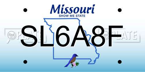 SL6A8F Missouri License Plate