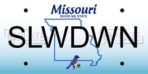 SLWDWN Missouri License Plate