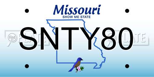 SNTY80 Missouri License Plate