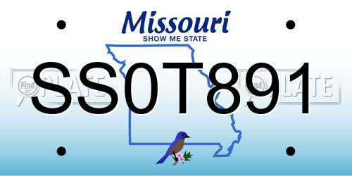 SS0T891 Missouri License Plate