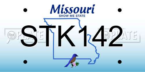 STK142 Missouri License Plate