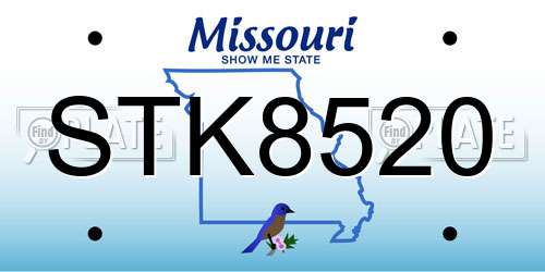 STK8520 Missouri License Plate