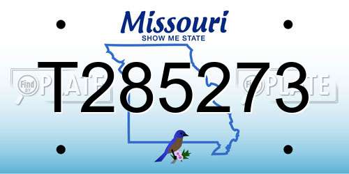 T285273 Missouri License Plate