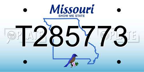 T285773 Missouri License Plate