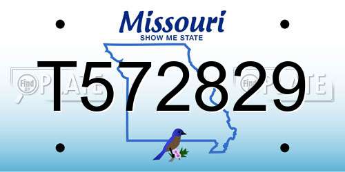 T572829 Missouri License Plate