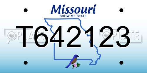 T642123 Missouri License Plate