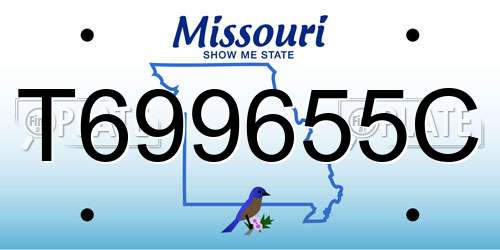 T699655C Missouri License Plate