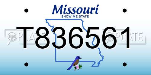 T836561 Missouri License Plate