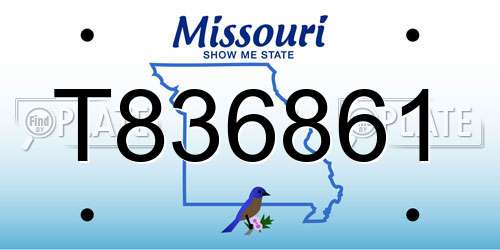 T836861 Missouri License Plate