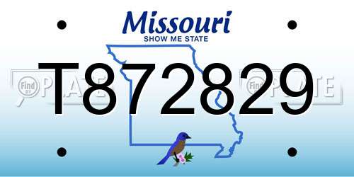 T872829 Missouri License Plate