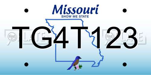 TG4T123 Missouri License Plate