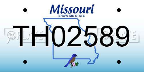 TH02589 Missouri License Plate