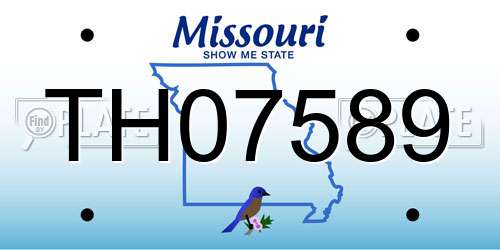 TH07589 Missouri License Plate