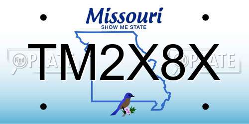 TM2X8X Missouri License Plate