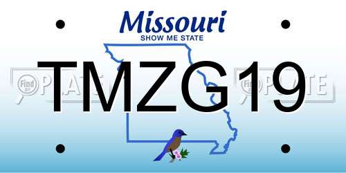 TMZG19 Missouri License Plate