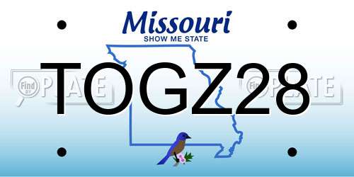 TOGZ28 Missouri License Plate