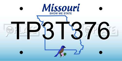 TP3T376 Missouri License Plate