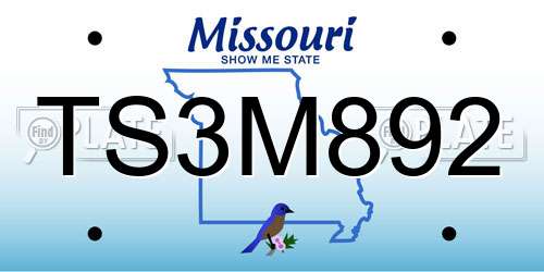 TS3M892 Missouri License Plate