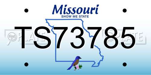 TS73785 Missouri License Plate