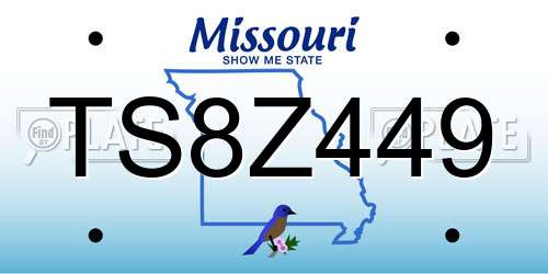 TS8Z449 Missouri License Plate