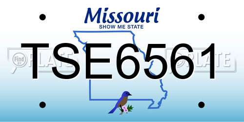 TSE6561 Missouri License Plate