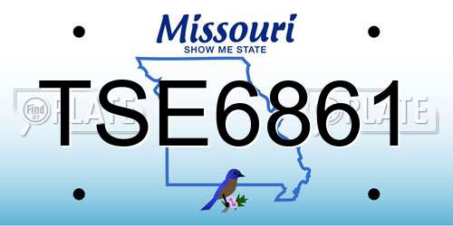 TSE6861 Missouri License Plate