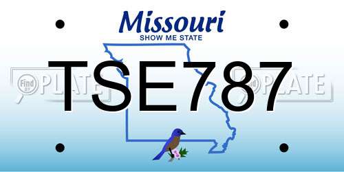 TSE787 Missouri License Plate