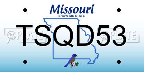 TSQD53 Missouri License Plate