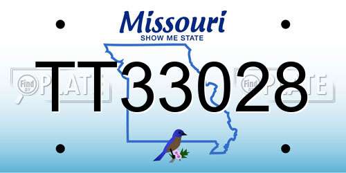 TT33028 Missouri License Plate