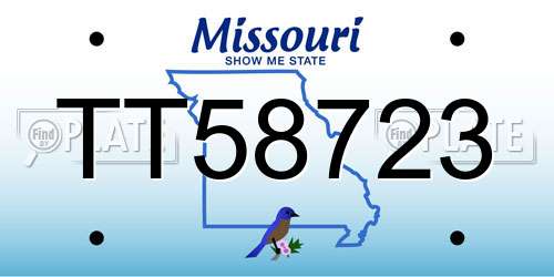 TT58723 Missouri License Plate