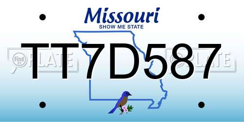 TT7D587 Missouri License Plate
