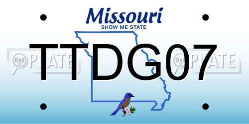 TTDG07 Missouri License Plate